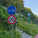 애니몰 | 마라톤 가보자고 🏃 애니멀런, 애니몰런 / 서울에서 아침부터 뛰어보자 / 애니몰런 완주기록증 신청 (3)