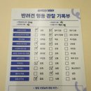 헬로우짐 | 죽전동애견유치원 헬로우버디 달서점 등원후기