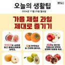 11월 25일 월요일 간추린 뉴스와 날씨 이미지