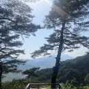 안인로 | [숲의 하루] 밀양 촌캉스 산 속의 독채 숙소 재방문 후기