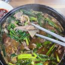 본가이가네흑염소 이미지