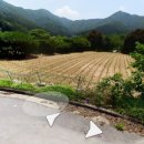여주경기공인중개사사무소 이미지