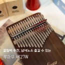손끝으로 울리는 악기 칼림바 | 칼림바 추천, 남녀노소 즐길 수 있는 루아우 HK17W