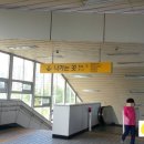 굿닥터동물병원 이미지