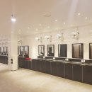 바이칼휘트니스 이미지