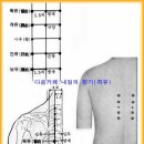 ◈ 내일의 향기 오늘의 건강 메모 - 구토 이미지