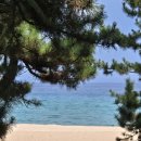 소나무집 | [강릉/초당] 강릉여행 맛집 웨이팅 적은 소나무집초당순두부 후기 | 강릉 쫄면 순두부 맛집