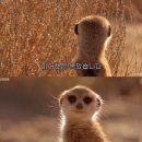 야호PC | [#3 잠실 방탈출] 머더파커 잠실점 <집으로 가자 야호>