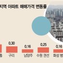 동탄 규제에 인접지 ‘풍선효과’…매수 문의 급증에 매물 거두기도 이미지