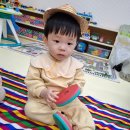 조물조물 이미지