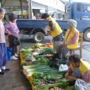 신토불이 이미지