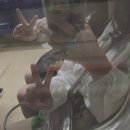 나그미커피 | 1212 -1216 대만 여행 2일차 ① : 천진총좌빙, 라뜰리에루터스, 중정기념당, 융캉제 소품샵, 세인트피터