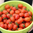 훈민농장 이미지