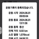 함안 영동리 회화나무 이미지