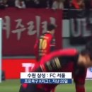 수원삼성 vs 서울fc 슈퍼매치 서울 선수들 폭행 영상 이미지