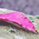 휴블레스펜션 이미지