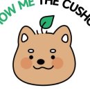 아마존펫 이미지