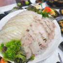 강원도 고성맛집 봉포항 '은숙이네횟집'