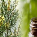 오일캠프 이미지