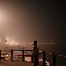 도연이네 민박 이미지