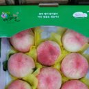 백년 농장 이미지