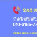 황금알공인중개사사무소 이미지