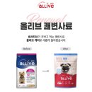 🧸대주펫푸드 올리브 케어 후기🧸