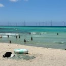 승민목장 | 7월의 제주~🧑‍🧒‍🧒