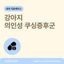 송정동물메디컬센터