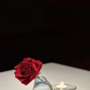 대양제지신노동조합 | 미슐랭 1스타::: 손종원 셰프의 라망시크레 결혼기념일 디너 후기❤️