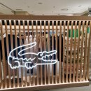 신세계백화점라코스테우먼