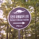 도천리 공룡 발자국 이미지