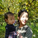 대림3농장 이미지