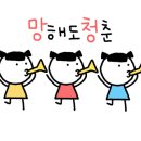 다이소화성