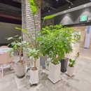 SG스크린골프 이미지