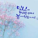 언제나 봄날 - 서구 | 언제나 봄날