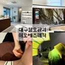 대구주거환경개선협회 | 대구탈모관리 정수리 고민 개선, 대구두피관리 미모에스테틱 후기