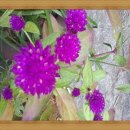 풍림2차아파트 이미지