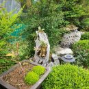 경주 둥지가족펜션 이미지