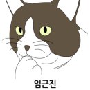 지경희동물병원 이미지