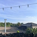 제주도 돌집 삼다헌 한동점 이미지