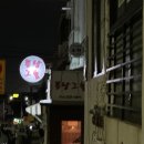 퐁낭그늘 | [제주/연동] 신제주 도민 추천 숨은 술집 멜튀김 맛집 :: 퐁낭그늘