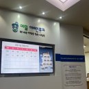 왜 진작 수술하지 않았을까｜20년 만에 받은 축농증 재수술 후기 (+주차 정보 + 수술 전 검사 금액)