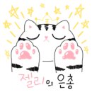 은빛동물병원 네이버블로그