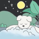 라떼펫살롱 이미지