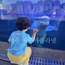 팔당교 전 (형제마린앞) | [아기랑 여수 가볼만한곳] 아쿠아플라넷 여수 35개월 아기 무료입장 벨루가 꿀팁 여수아쿠아리움