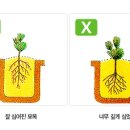 희망나무심기2 이미지