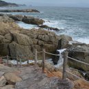 바다향기블루 이미지