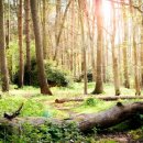 캠퍼스타운한의원 이미지