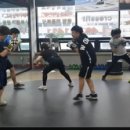 레드윙 복싱 이미지